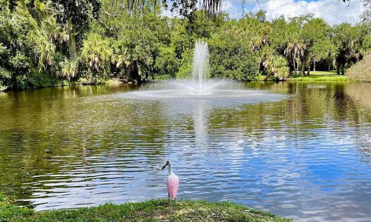 One Bed Suite Near Beaches And Downtown Sarasota Extérieur photo